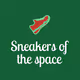 Sneakers of the space