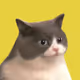 Naiive Cats