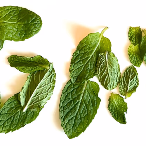 Mint on Bitcoin