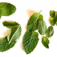 Mint on Bitcoin