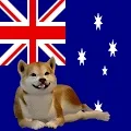 Shiba Inu 3D Dog World