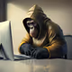 Modern Degen Club