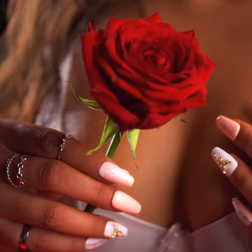 Sensual Shapes by Roze