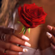 Sensual Shapes by Roze