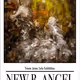 NEW B. ANGEL