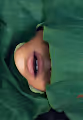 Mother Nature Collection