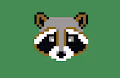 Chubby Raccoon