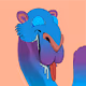 Cool Camels (Official)
