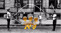 NFT_Duckits Collection