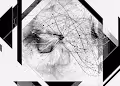Monochromatica ball