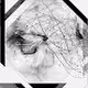 Monochromatica ball