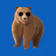 Bear O Bears