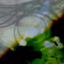 Eleonora Brizi Gallery