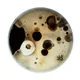 Microbial Apparatus