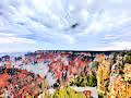 Grand Canyon Art - old