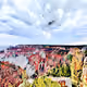 Grand Canyon Art - old