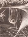 Graphite dust