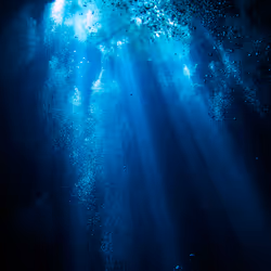 Marcador de posición de elemento multimedia