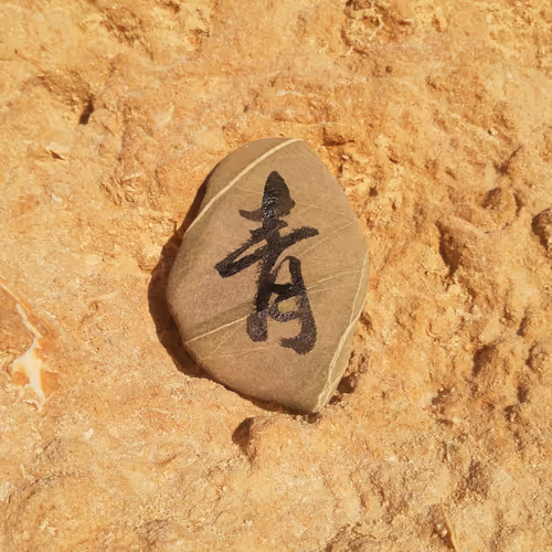 Calligraphy in Motion