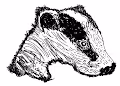 The Badger Sett