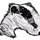 The Badger Sett