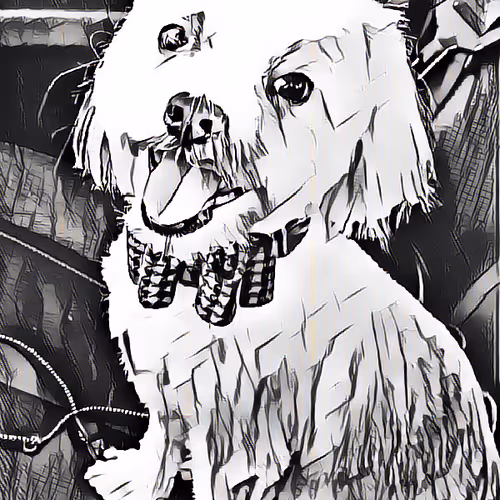 BurdiNft Unique Collection