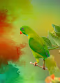 artistic creation of wildphotos - old