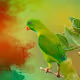 artistic creation of wildphotos - old