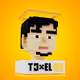 Toxel