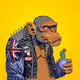 Prime Apes Club