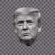 Unordinal Trump