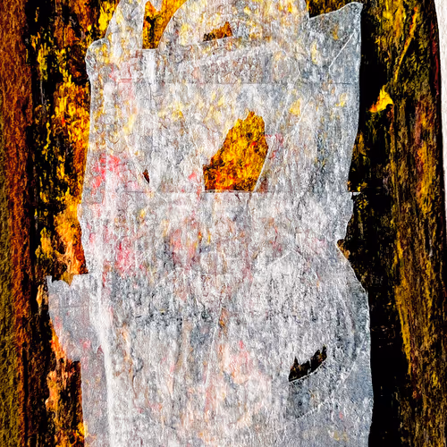 SURVIVAL by KEVIN ABOSCH