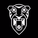 Lost Tigers
