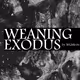 Weaning Exodus