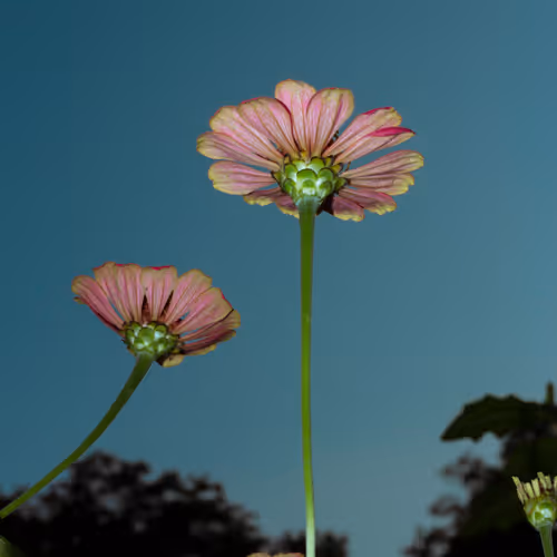 Everything is quiet as a mystery - ZHOU Yuchen