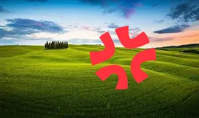 kevinxiao