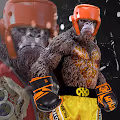 animal boxing