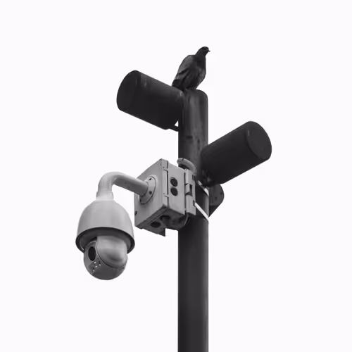 Editions by Ellen De