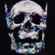 Elite Art