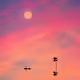 Serenescapes