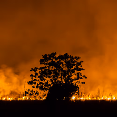 *Obsolete Manifold Contract*