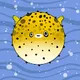 puffer fish