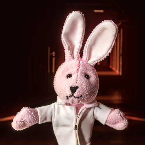 The Pink Hare Laundry