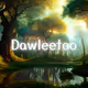 Dawleetoo