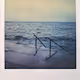 Polaroid land