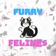 Furry Felines