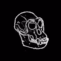 Pixel Ape  Club