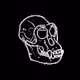 Pixel Ape  Club