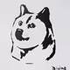 Viva Doge