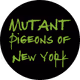 PIGEONS  OF NEW YORK: Phase3